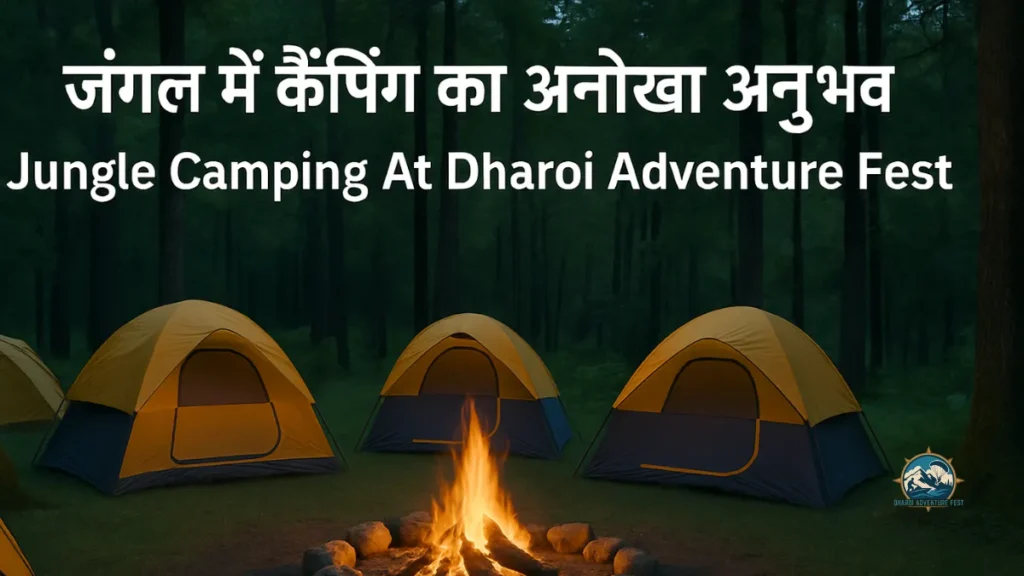Jungle Camping At Dharoi Adventure Fest