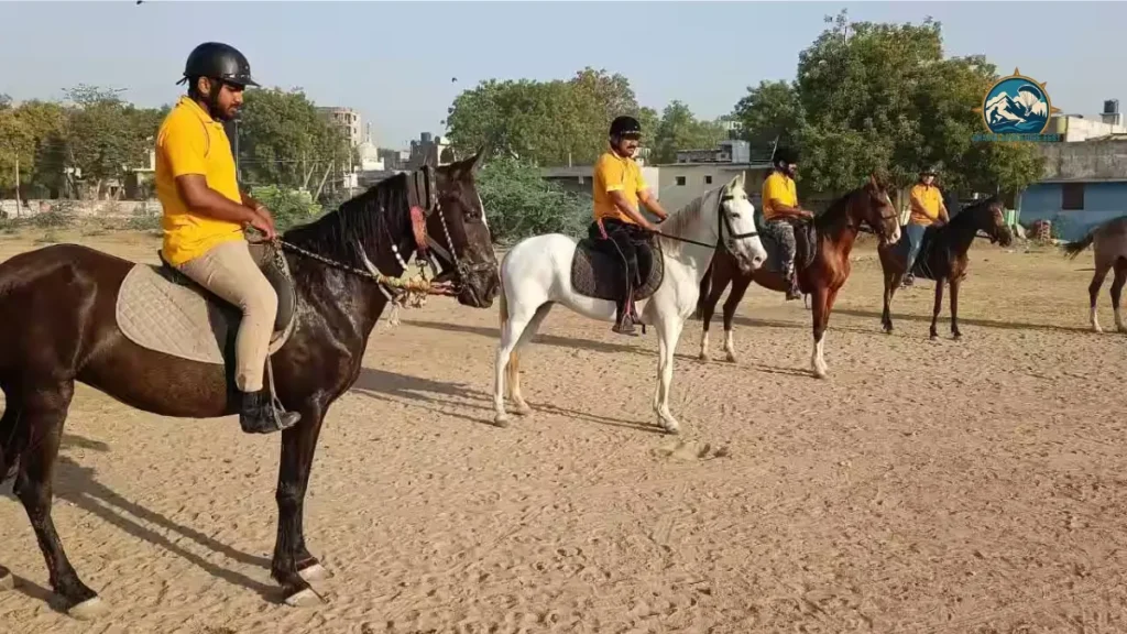 Royal Baroda Horse Riding Club