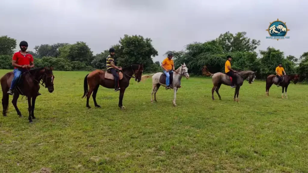 Royal Baroda Horse Riding Club